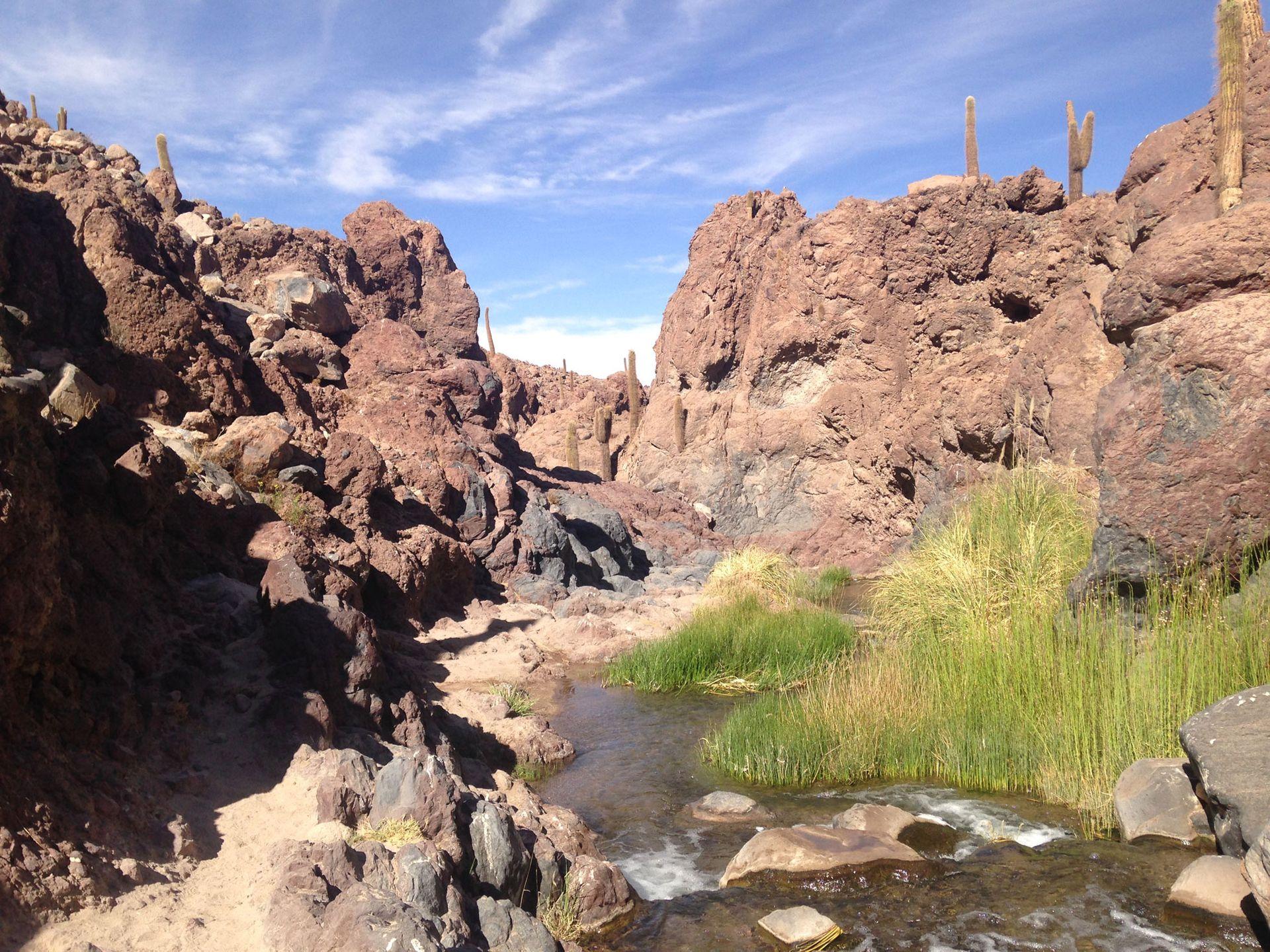 Trekking De Guatin E Termas FlaviaBiaExpediciones trekking-de-guatin-e-termas-flaviabiaexpediciones